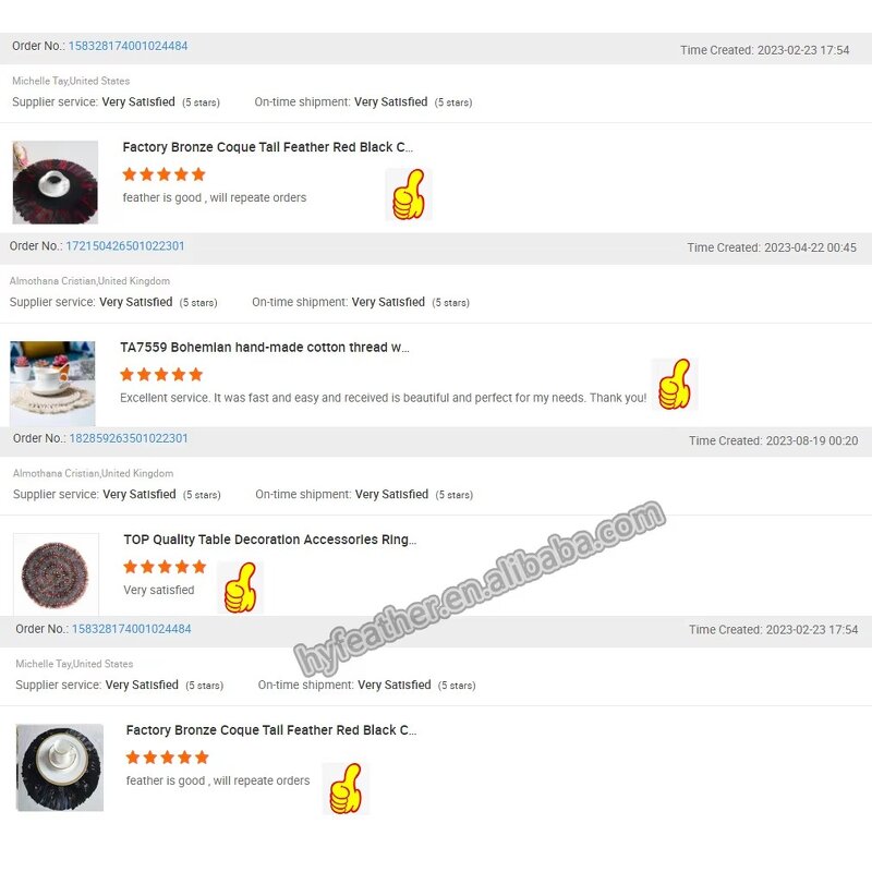 Peacock Feather Placemats Manufacturer - Real Large Eyes Decor