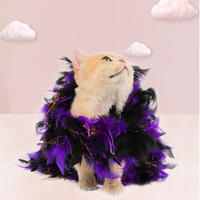 Turkey Feather Boa Manufacturer - Scarf Party Christmas Decor