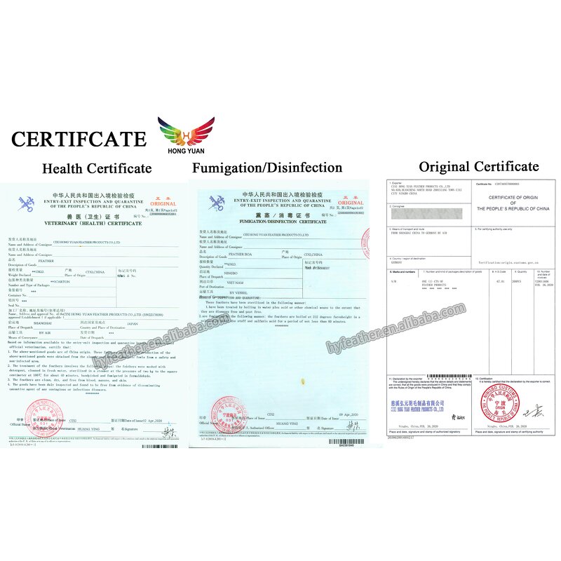 Turkey Feather Fan Factory - White Women Costume Show