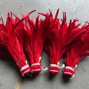 Rooster Tail Feather Factory - Dyed Craft Costume Accessory