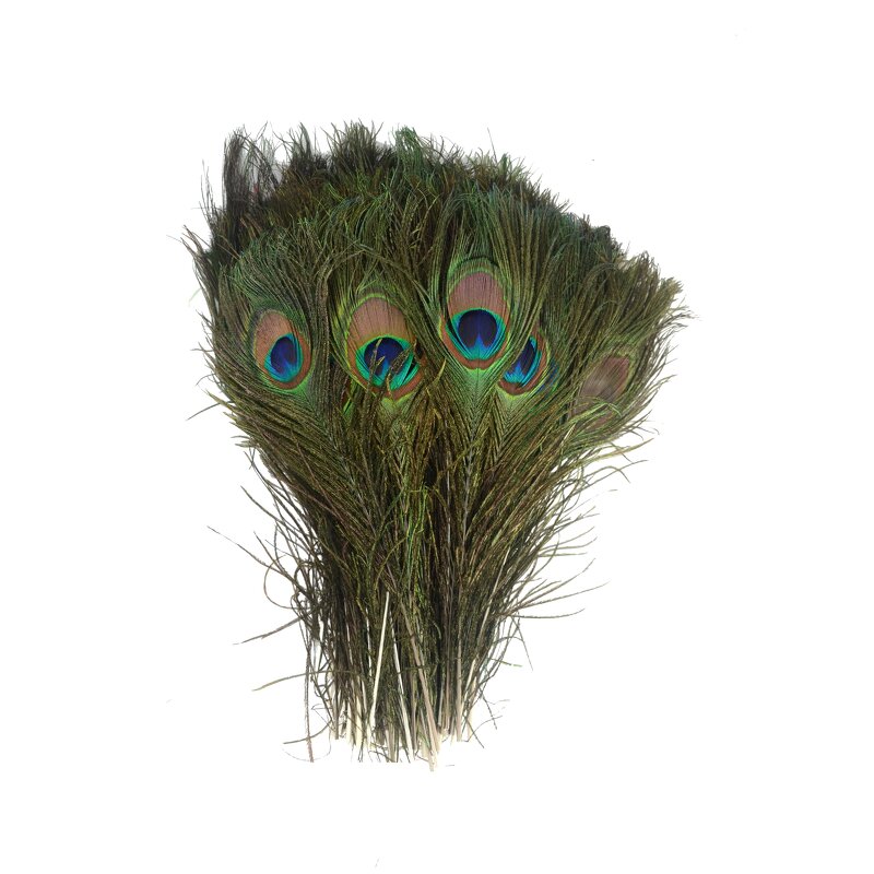 Peacock Feathers Factory - Natural Eye Party Decor