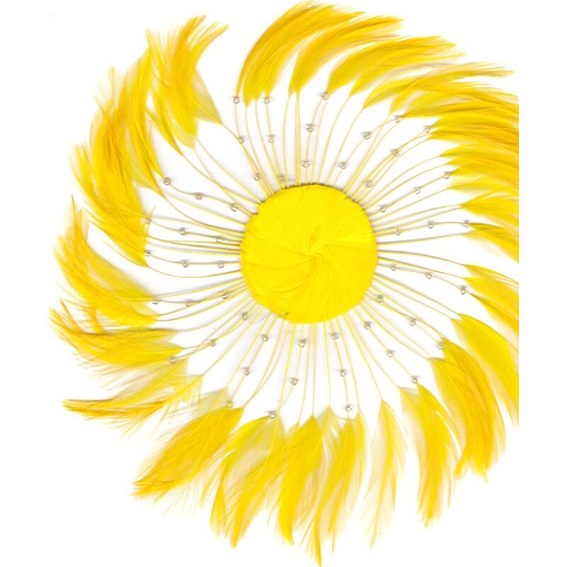 Chicken Hackle Feather Plate Factory - Rooster Millinery Craft