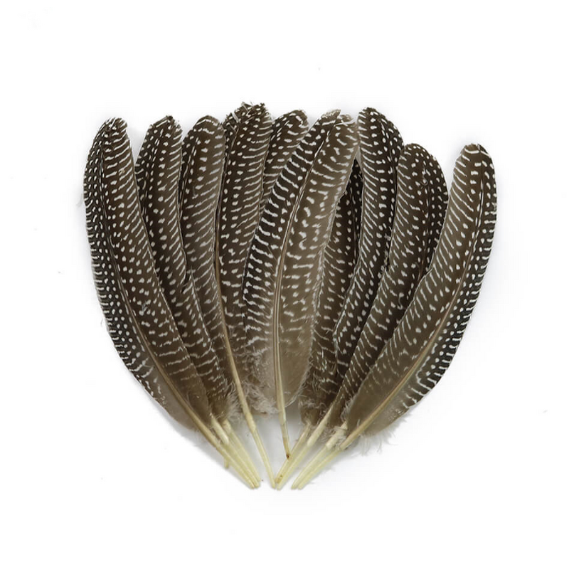 Guinea Fowl Feather Quills Manufacturer - Bulk Dyed Decor