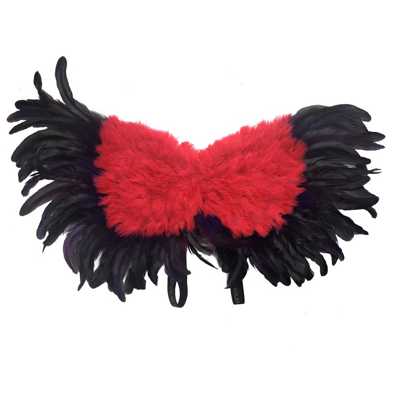 Rooster Feather Angel Wing Supplier - Beautiful Party Costume