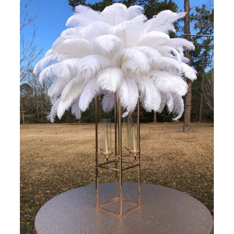Ostrich Feathers Manufacturer - Bulk Natural Plume Decor