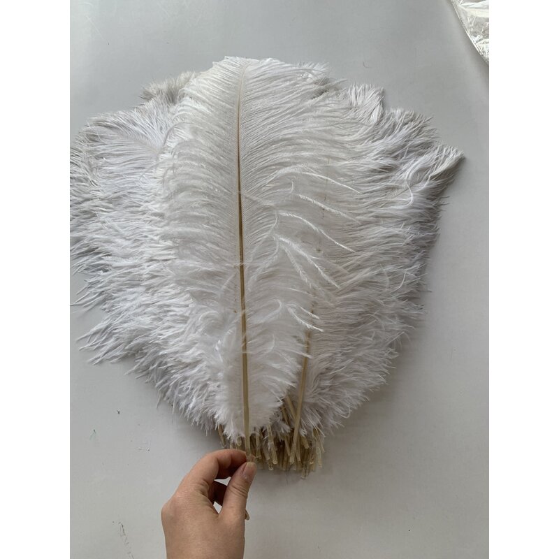 Ostrich Feathers Manufacturer - Bulk Natural Plume Decor