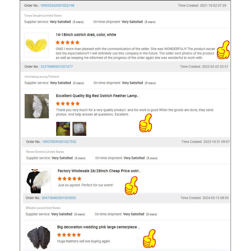 Ostrich Feather Supplier - Eco-friendly Bulk Backdrop Decor