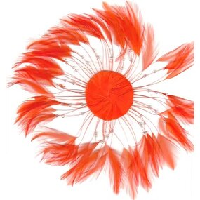 Chicken Hackle Feather Plate Supplier - Black Costume DIY