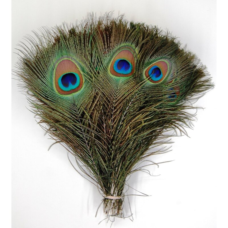 Peacock Feathers Factory - Natural Eye Party Decor