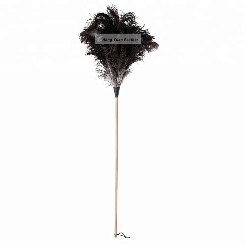 Ostrich Feather Duster Manufacturer - Eco-friendly Reusable