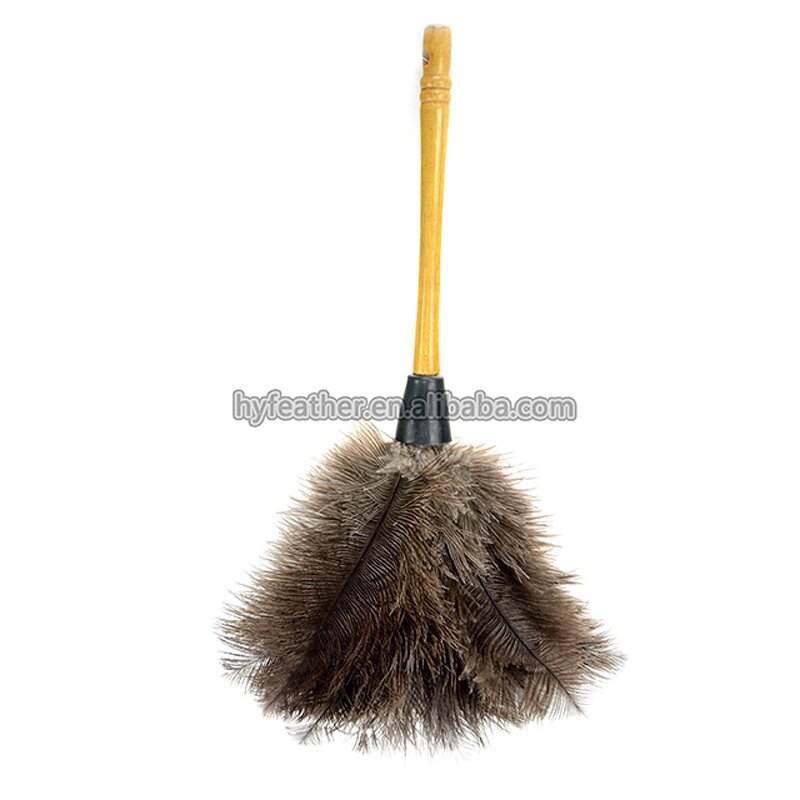 Ostrich Feather Duster Manufacturer - Natural Color Cleaning
