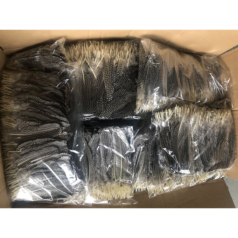 Guinea Fowl Feather Quills Manufacturer - Bulk Dyed Decor