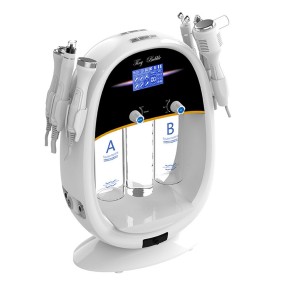 Oxygen Machine Manufacturer - OEM 6 in 1 Multifunctional