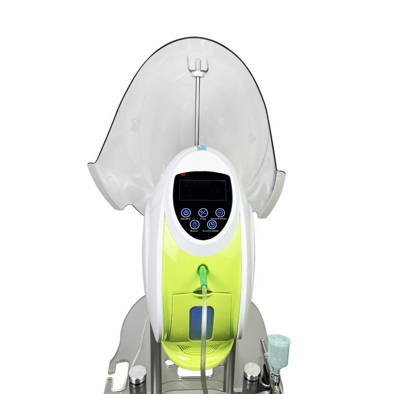 Oxygen Therapy Factory - OEM Dome Rejuvenation Machine