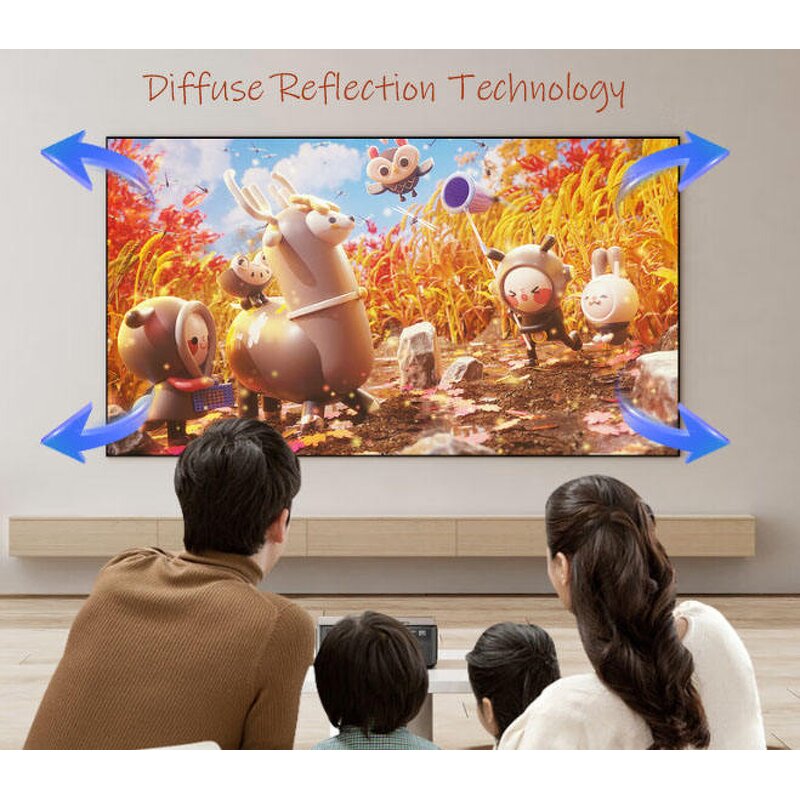 Acoustic Projector Screen Manufacturer - Custom ALR Screen