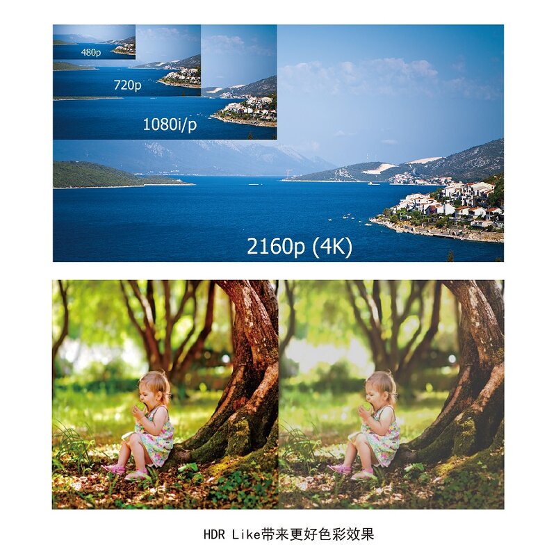 DLP Projector Supplier - Custom Education Projector