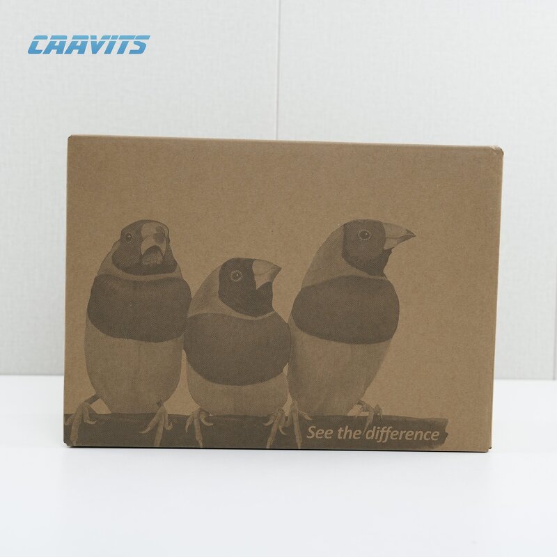 4K Laser Projector Factory - Custom High Contrast Projector