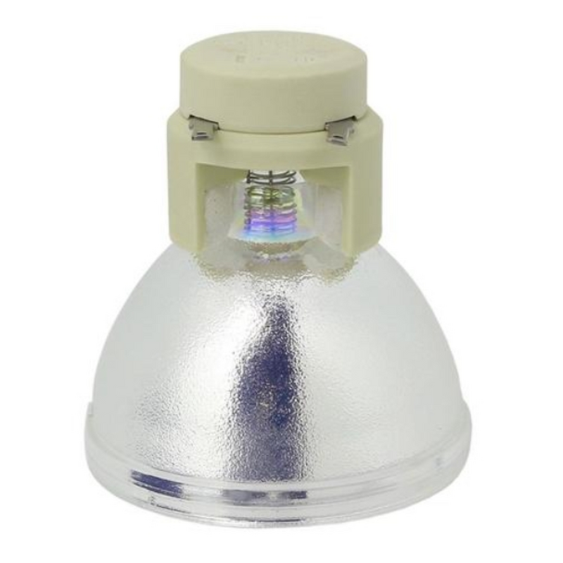 Projection Screen Factory - OEM/ODM Wall Mounted Screen