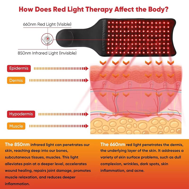 Red Light Therapy Belt Manufacturer - Professional for Muscle Recovery Joint Pain