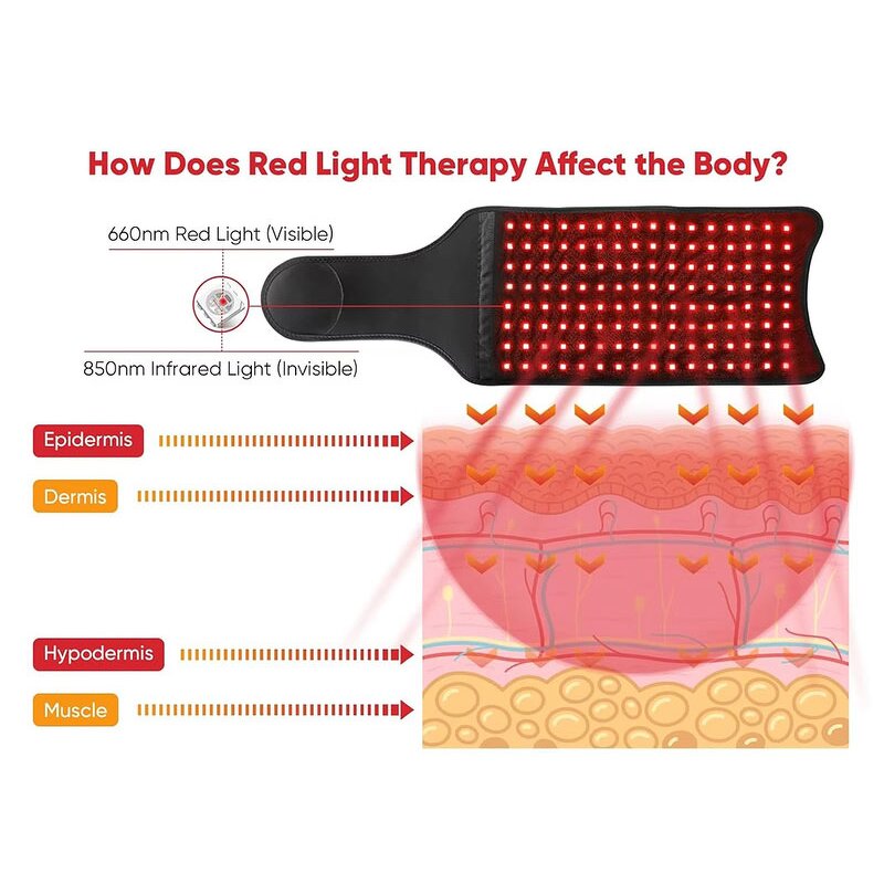 Red Light Therapy Belt Manufacturer - Professional for Muscle Recovery Joint Pain