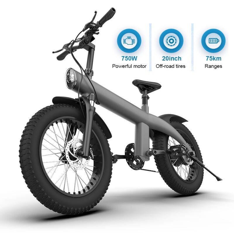 Folding Electric Bike Manufacturer - 20 Inch Shimano OEM