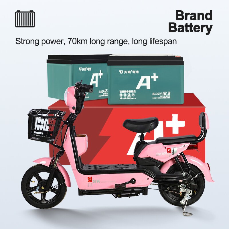 Electric Scooter Manufacturer - Steel Frame ABS Body OEM