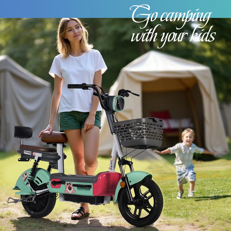 Electric Moped Manufacturer - Dual Seat 350W OEM/ODM