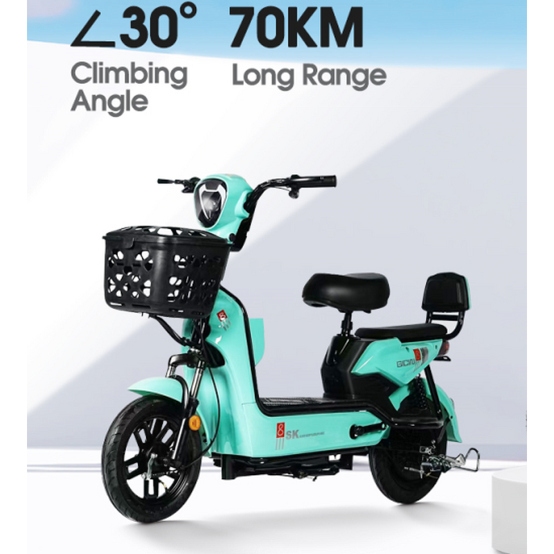 Electric Moped Manufacturer - Dual Seat Custom OEM