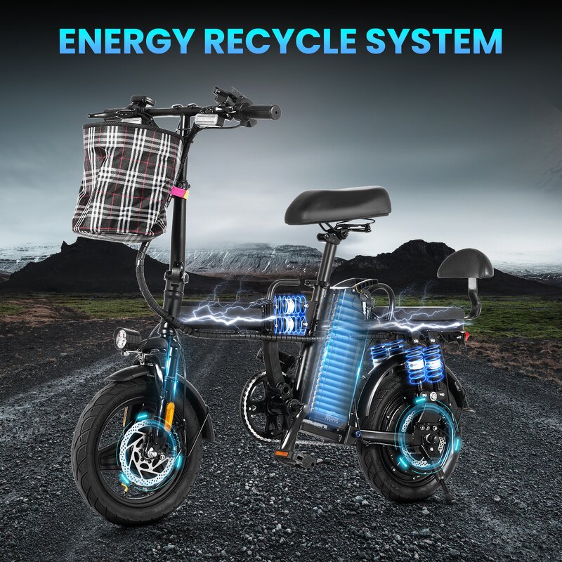 Folding Electric Bike Manufacturer - Waterproof 500W OEM