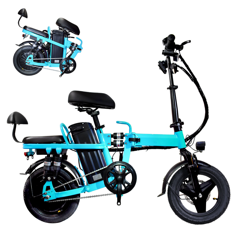 Folding E Bike Manufacturer - 2 Seat Long Range OEM