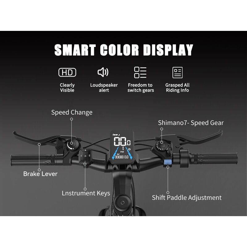 Electric Mountain Bike Manufacturer - 500W 7-Speed OEM