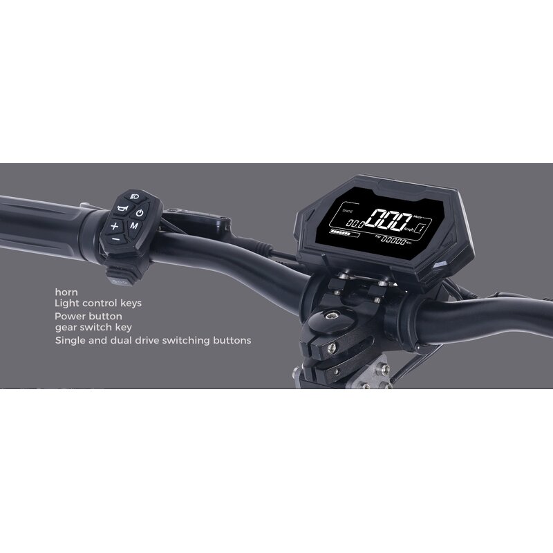 Electric Scooter Manufacturer - Dual Motor 6000W OEM