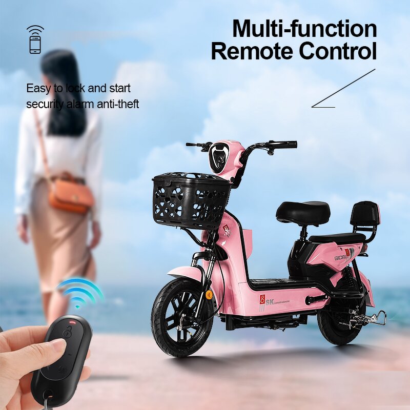 Electric Scooter Manufacturer - Steel Frame ABS Body OEM