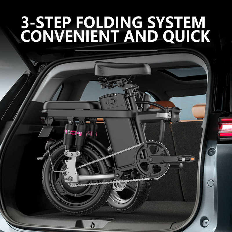 Folding Electric Bike Manufacturer - 500W Mini OEM/ODM