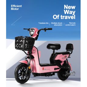 Electric Motorcycle Manufacturer - 350W 14 Inch OEM/ODM