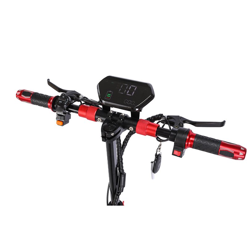 Electric Scooter Manufacturer - 10 Inch Custom Screen OEM