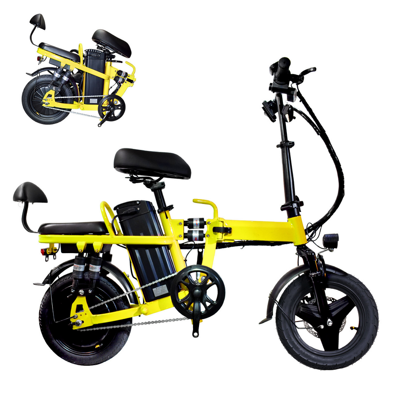 Folding E Bike Manufacturer - 2 Seat Long Range OEM