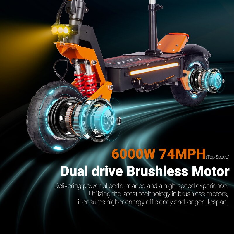 Electric Scooter Manufacturer - 6000W Dual Motor OEM Bulk