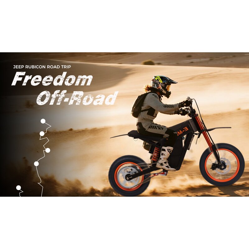 Electric Dirt Bike Manufacturer - 3000W Hydraulic Brake OEM