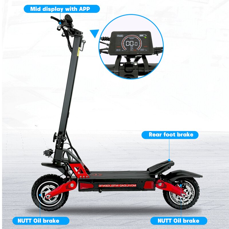 Electric Scooter Manufacturer - Foldable Dual Motor OEM