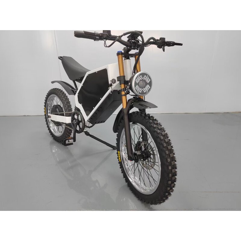 Electric Bicycle Manufacturer - 1000W Off-Road OEM