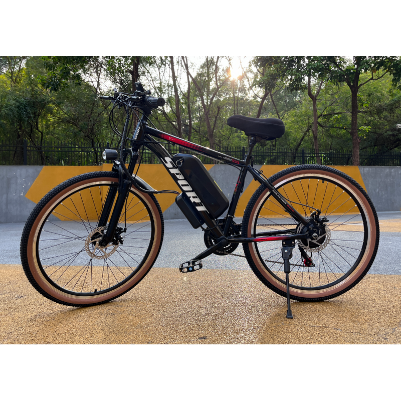 Electric Mountain Bike Manufacturer - 500W 7-Speed OEM