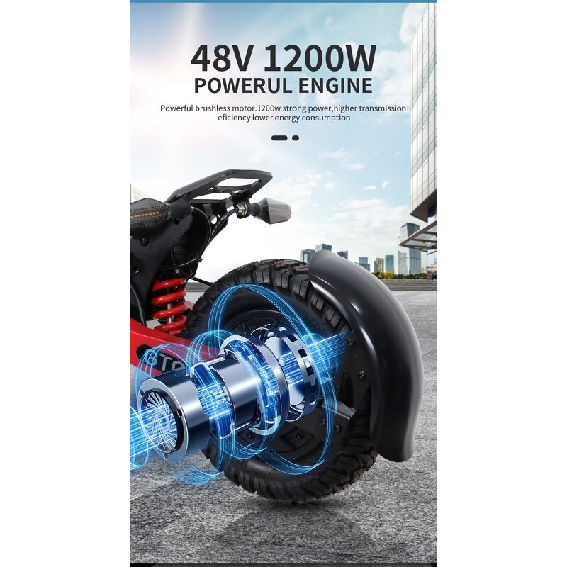 Electric Scooter Manufacturer - High Speed 11 Inch OEM