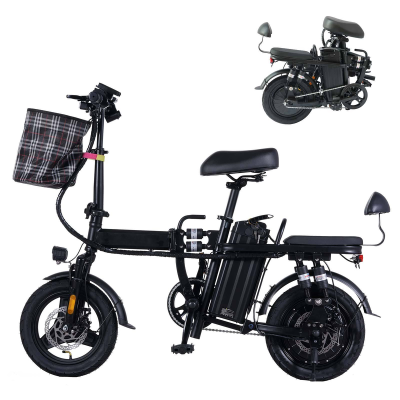 Folding E Bike Manufacturer - 2 Seat Long Range OEM
