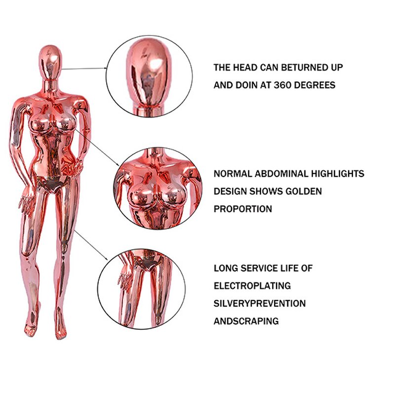 Female Mannequin Manufacturer - Headless OEM Bulk