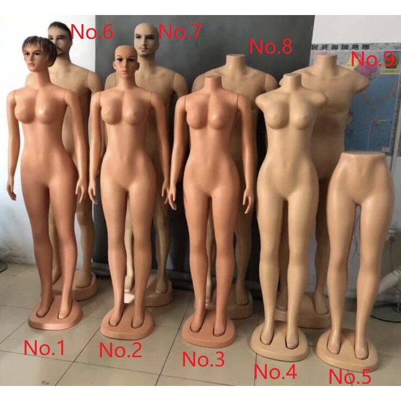 Female Mannequin Manufacturer - Hot Sale Bulk