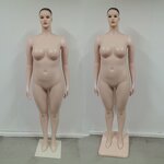 Plus Size & Maternity Forms Mannequin