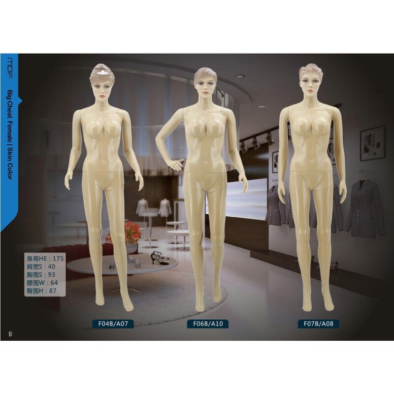 Female Mannequin Manufacturer - Curvy Soft OEM