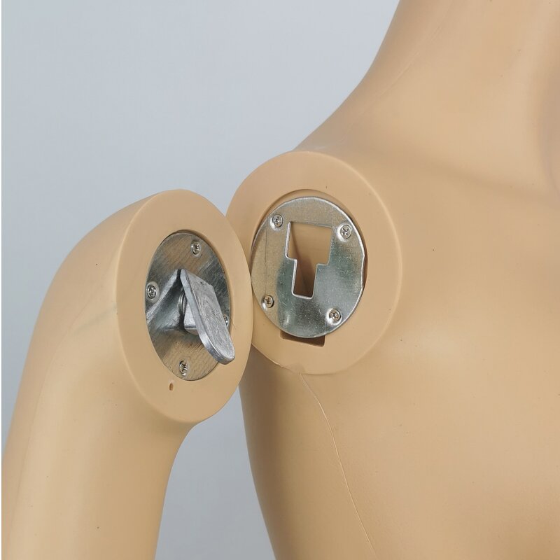 Female Mannequin Manufacturer - Headless Bulk