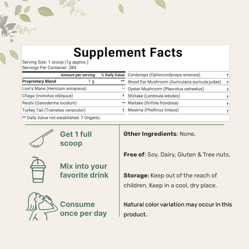 Mushroom Powder Supplier - Bulk OEM Mega Mushroom 10-in-1 Super Blend 284g Immune